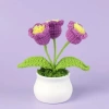Cross-border blue hook potted lily of the valley, knitted flower, artificial potted green plant, artificial fake green plant, anti-real green plant, horticultural decoration Application Scenario